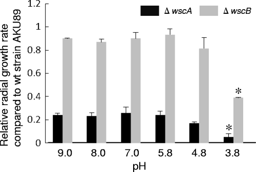 Fig. 6.