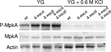 Fig. 10.