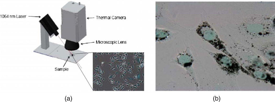 Fig. 1