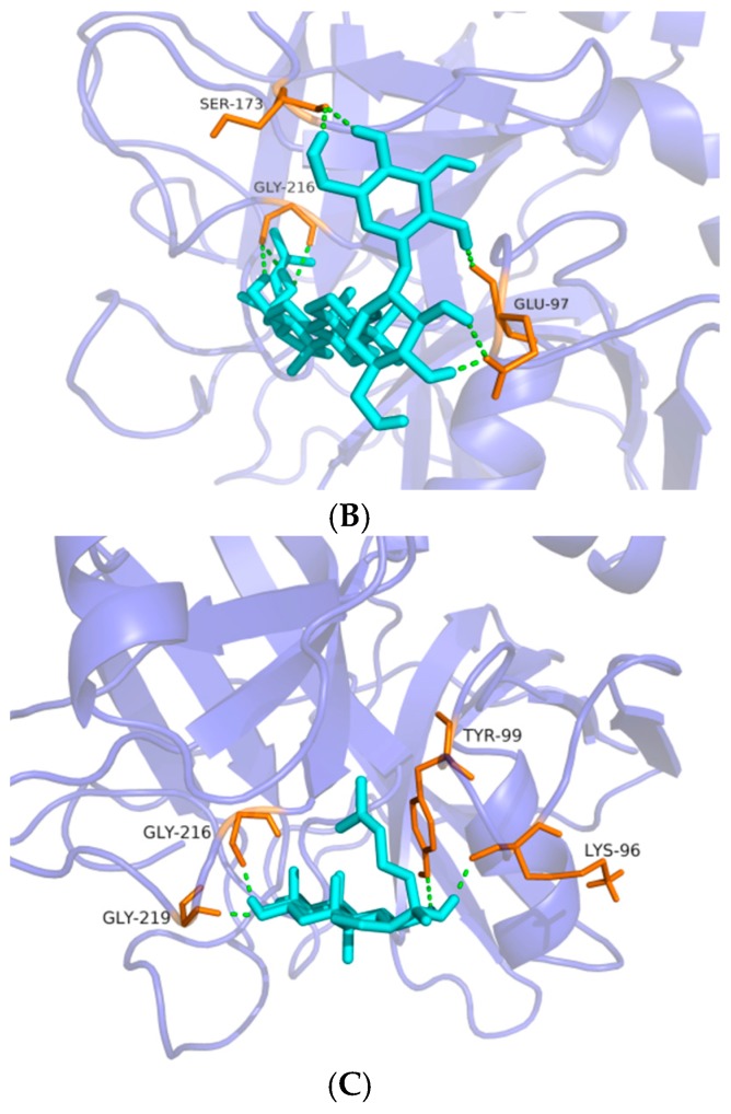 Figure 6