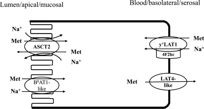 Figure 9