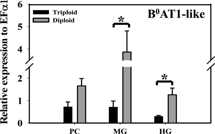 Figure 7