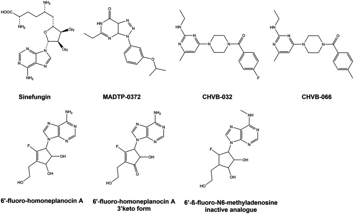 FIG 1