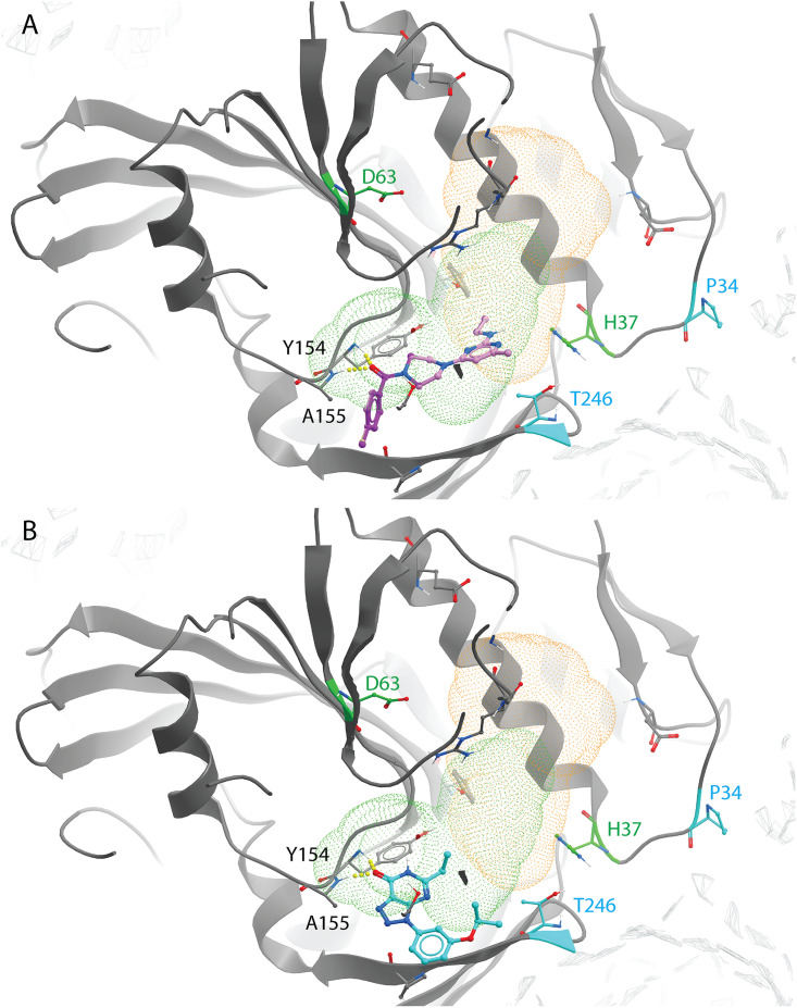 FIG 7