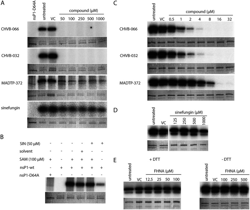 FIG 3