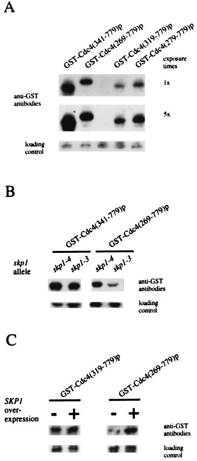 FIG. 7