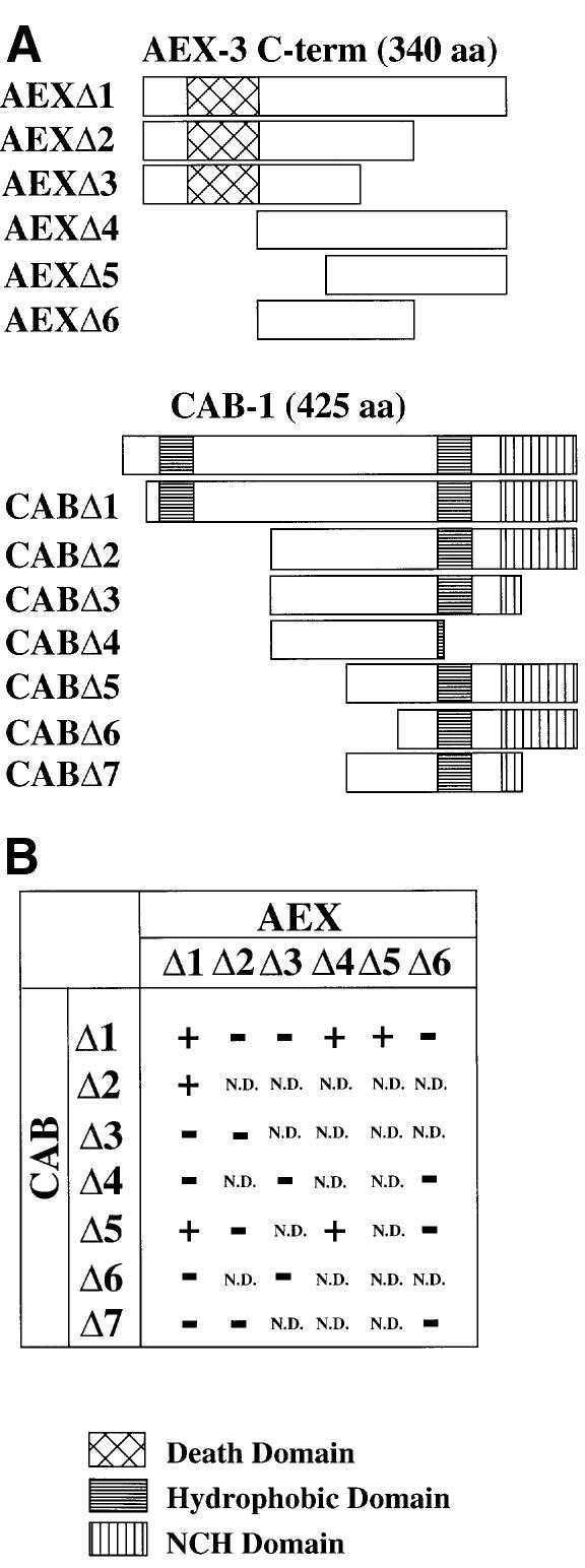 graphic file with name cdd452f5.jpg