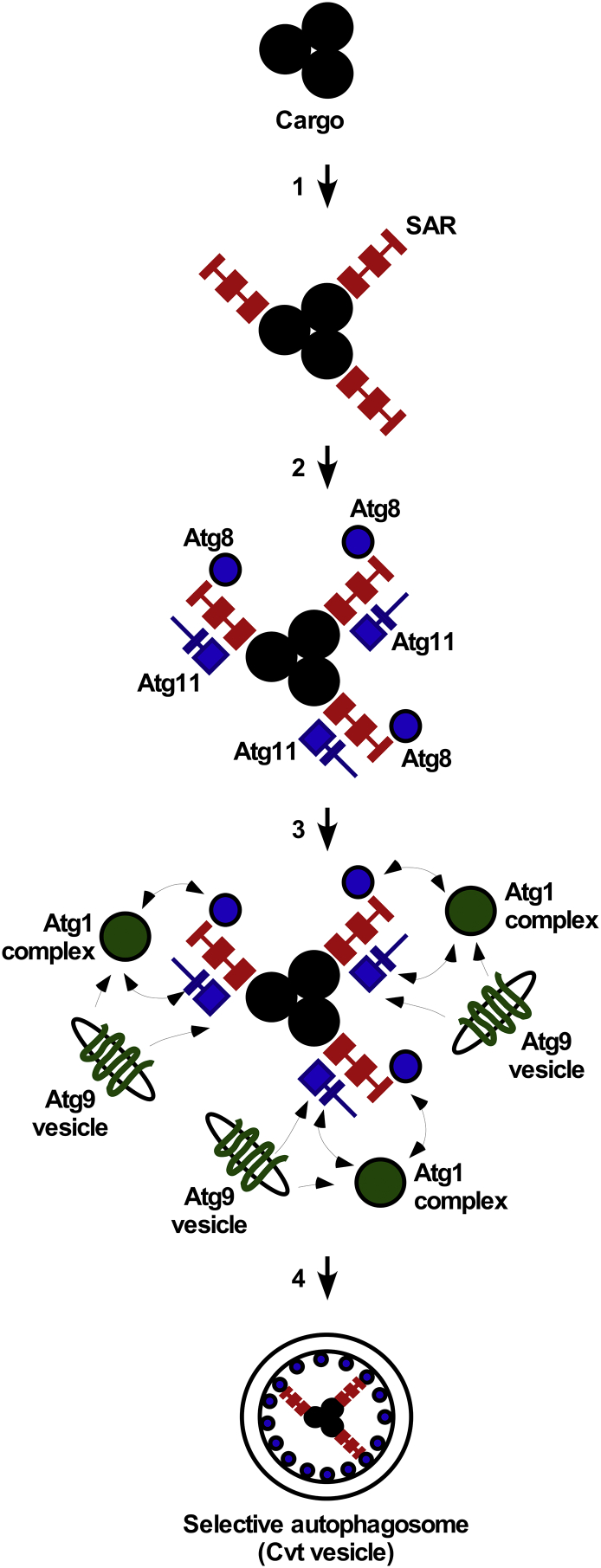 Fig. 4