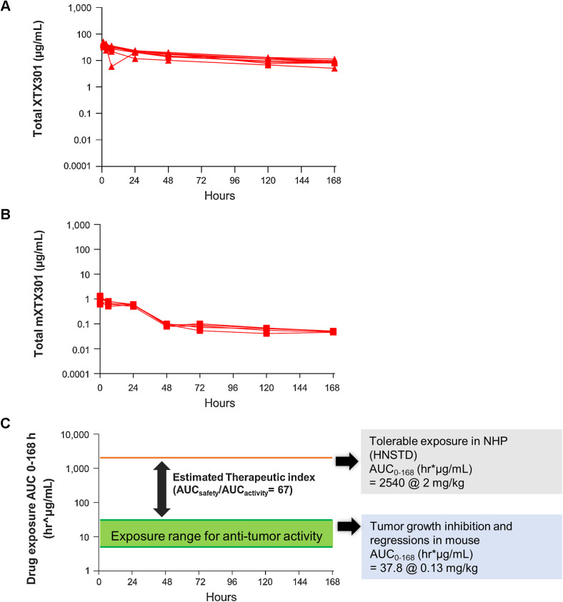 Figure 6. Preclinical data predicts a broad therapeutic index for XTX301. The area-under-the-curve parameter was determined from 0 to 168 hours for (A) concentration versus time profiles from nonhuman primates (N = 5/sex) following the first of the four intravenous doses of the HNSTD of XTX301, 2.0 mg/kg QWx4, and (B) concentration versus time profiles from MC38 tumor-bearing mice (N = 5) following a single intravenous bolus of the efficacious dose of mXTX301, 0.13 mg/kg. C, AUC of the efficacious dose and HNSTD. A large exposure difference in the group mean AUC0–168hr predicts a potential broad therapeutic index for XTX301.