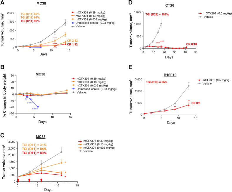 Figure 3. XTX301 demonstrates antitumor activity in immunologically hot (MC38, CT26) and immunologically cold (B16F10) syngeneic tumor models. C57BL/6J mice were implanted subcutaneously with MC38 tumor cells and received a single intravenous injection of mXTX301, unmasked control, or vehicle (PBS) at indicated dose levels (N = 12). A, Tumor and (B) body weight measurements were taken two/three times a week. The data points represent mean ± SEM. Tumor volume and body weight change were assessed by a two-way ANOVA with Bonferroni's post hoc pairwise comparison test compared with vehicle (PBS) treated animals (**, P < 0.005; ****, P < 0.0001). The tumor growth changes, and body weight data are displayed until Day 14, when 75% of vehicle-treated animals were alive (N = 9). C, TGI was assessed in mice bearing large (∼360 mm3) MC38 tumors. C57BL/6J mice were implanted subcutaneously with MC38 tumor cells and received a total of 3 doses marked by red arrows of mXTX301. Tumor growth data is presented as mean for tumor volume ± SEM. Two-way ANOVA followed by Bonferroni post hoc test (**, P < 0.005; ****, P < 0.0001) (D) Balb/c mice were implanted subcutaneously with CT26 tumor cells and C57BL/6J mice were implanted with (E) B16F10 tumor cells and received a single intravenous injection of mXTX301 at 0.5 mg/kg. Tumor measurements were recorded 2/3 times a week (n = 8–10 per group). Tumor growth data are presented as means for tumor volume ± SEM and were assessed by two-way ANOVA followed by Bonferroni post hoc test (**, P < 0.005; ****, P < 0.0001)