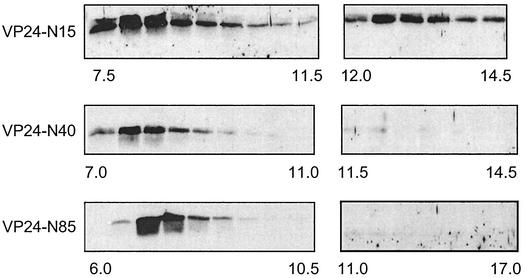 FIG. 6.