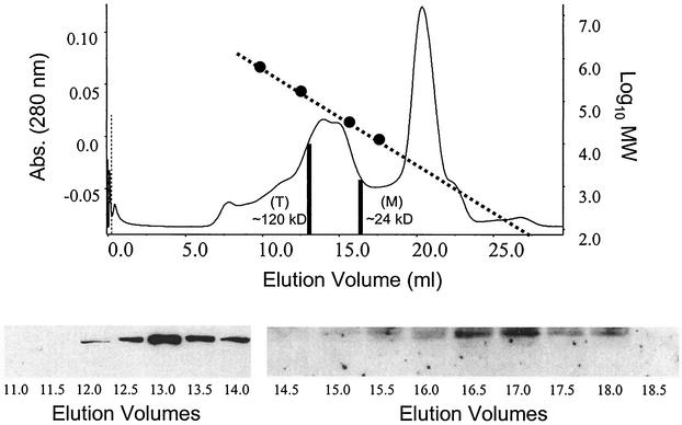 FIG. 5.