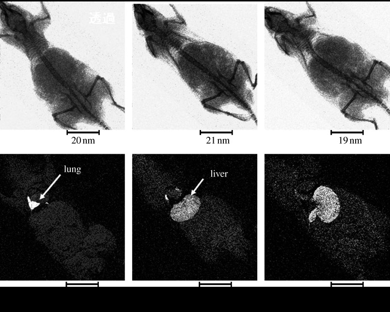 Figure 14