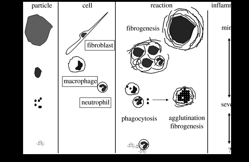 Figure 22