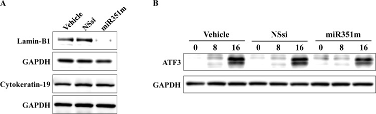 Fig 5