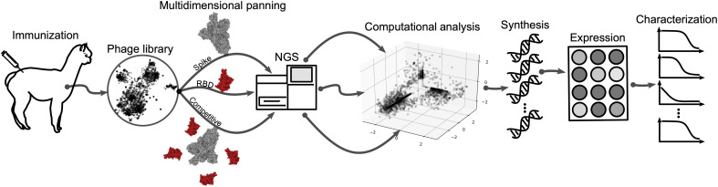 Fig. 1.