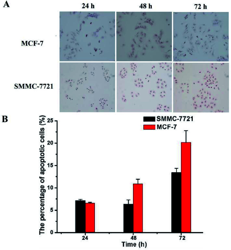 Fig. 7