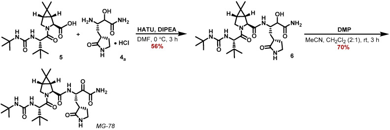 Scheme 2