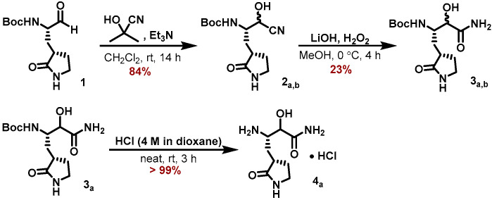 Scheme 1