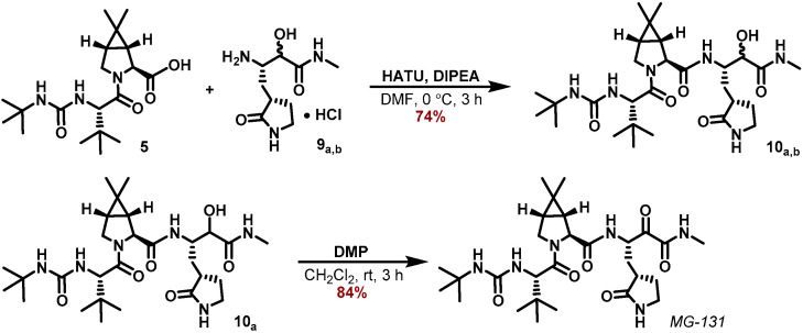 Scheme 4