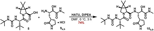 graphic file with name molecules-27-04292-i009.jpg