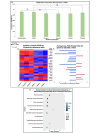 Figure 1. Effect of HUVEC Exposure to PFOS on Cell Proliferation and Gene Expression