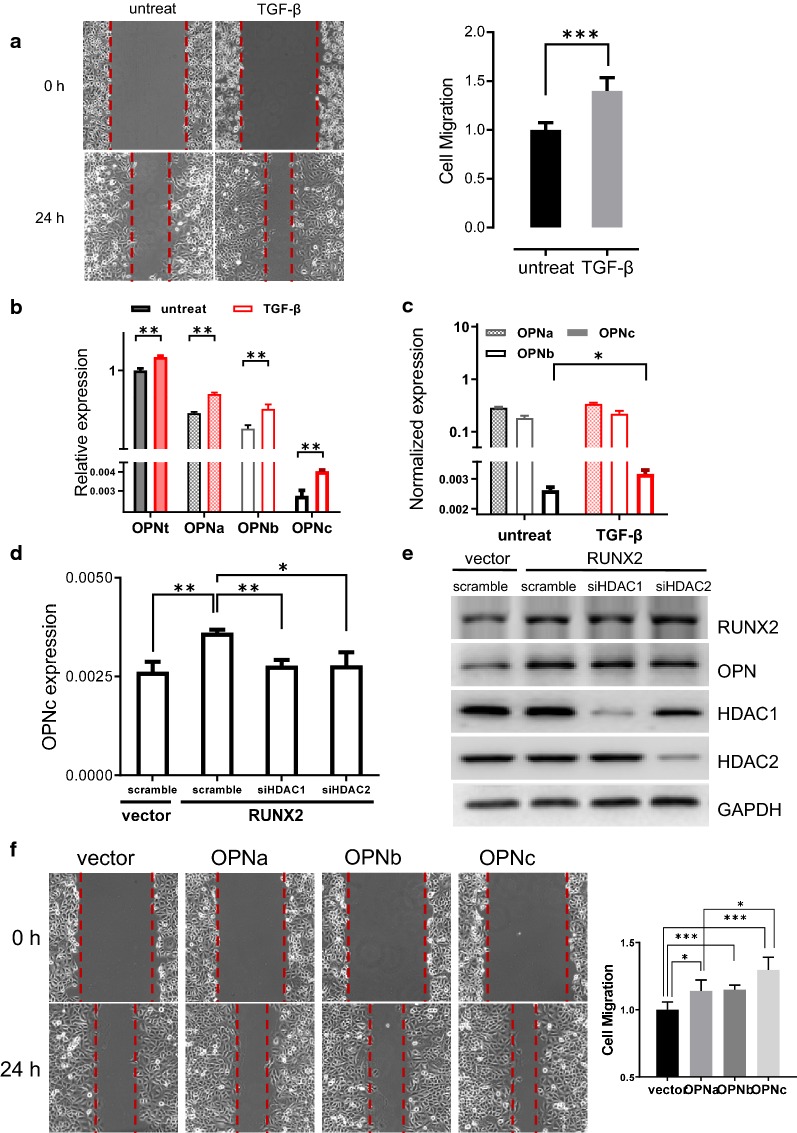 Fig. 6