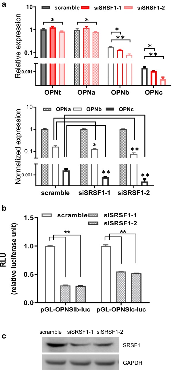 Fig. 3