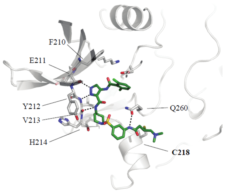 Figure 1: