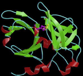 Figure 404.20