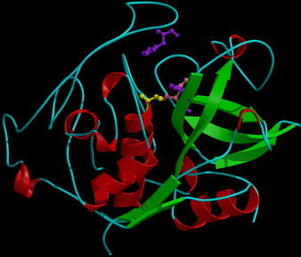 Figure 404.9