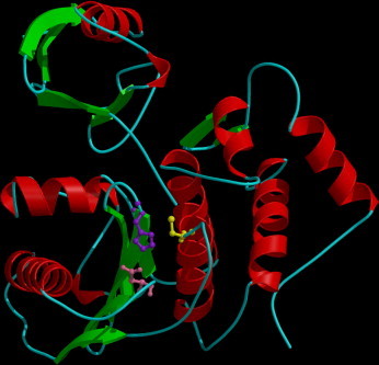 Figure 404.30