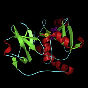Figure 404.38
