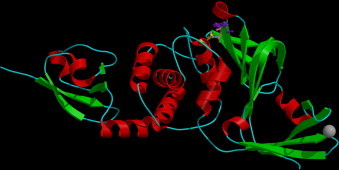 Figure 404.19
