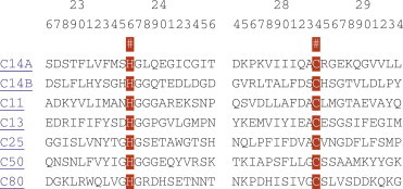 Figure 404.23