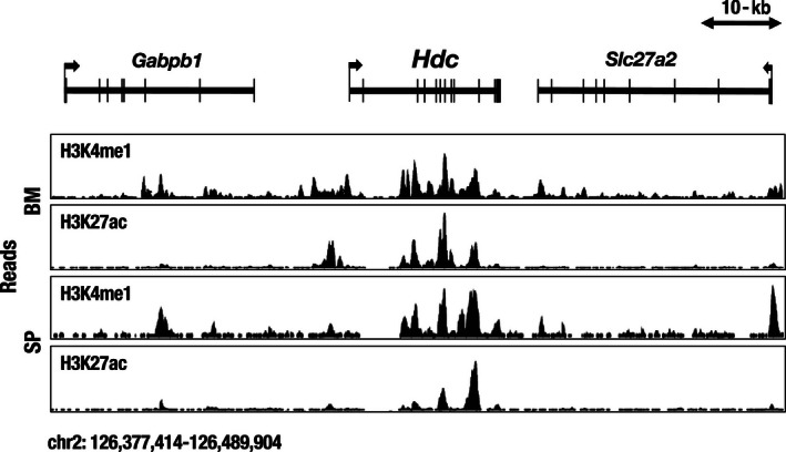 FIGURE 2