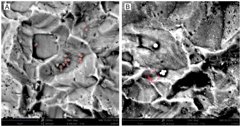 Figure 10