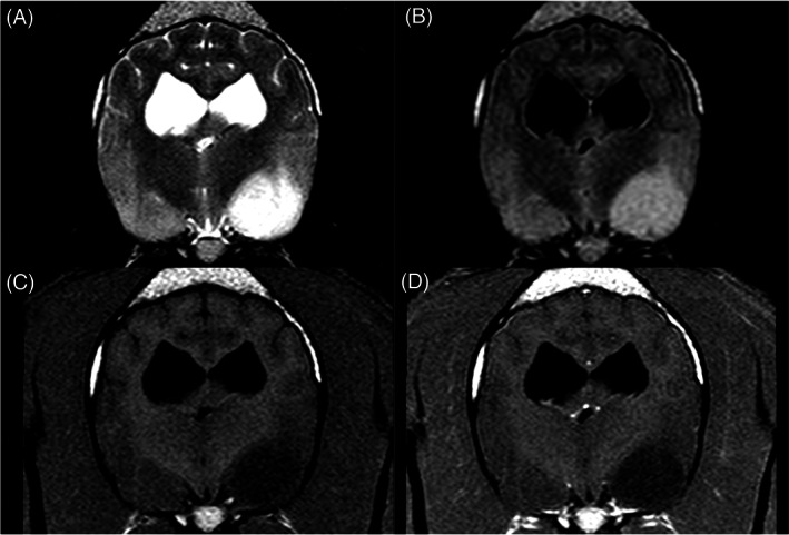 FIGURE 3