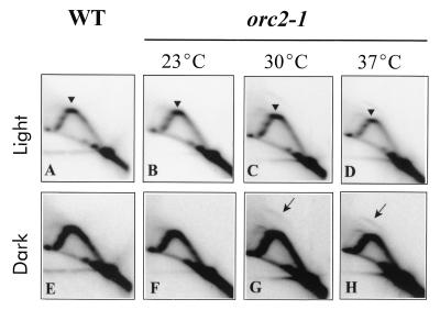 FIG. 9