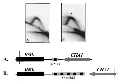 FIG. 6