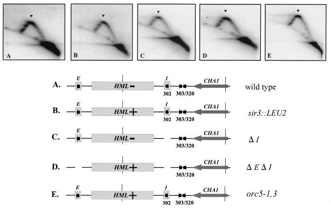 FIG. 7