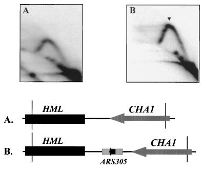 FIG. 5