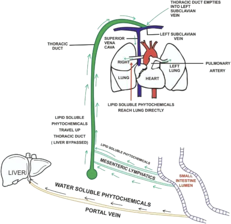 Fig. 2