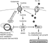 Fig. 2.