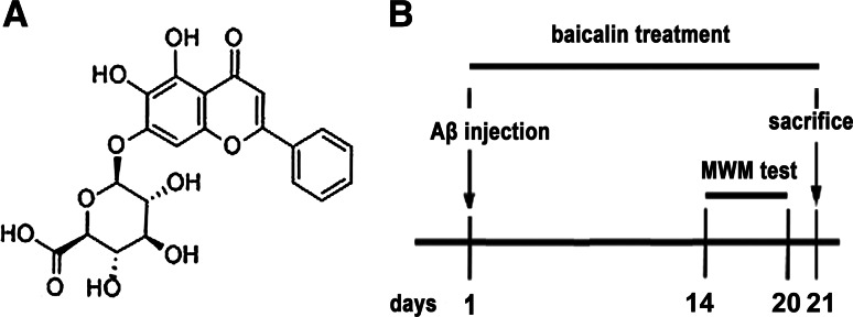 Fig. 1