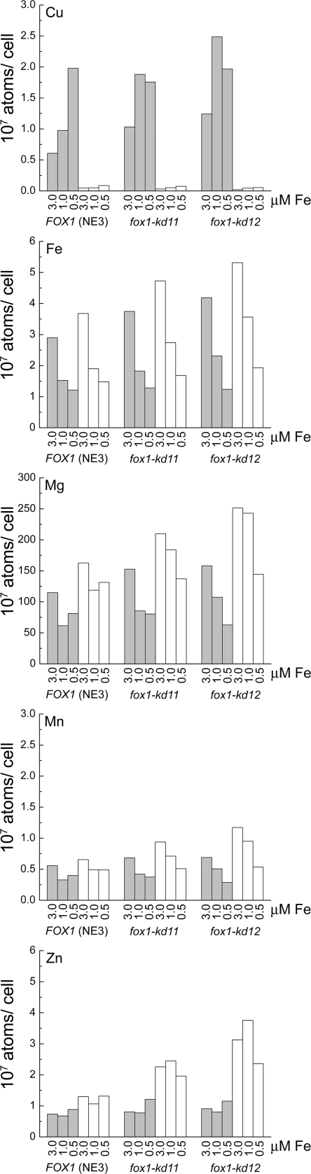 FIG. 4.