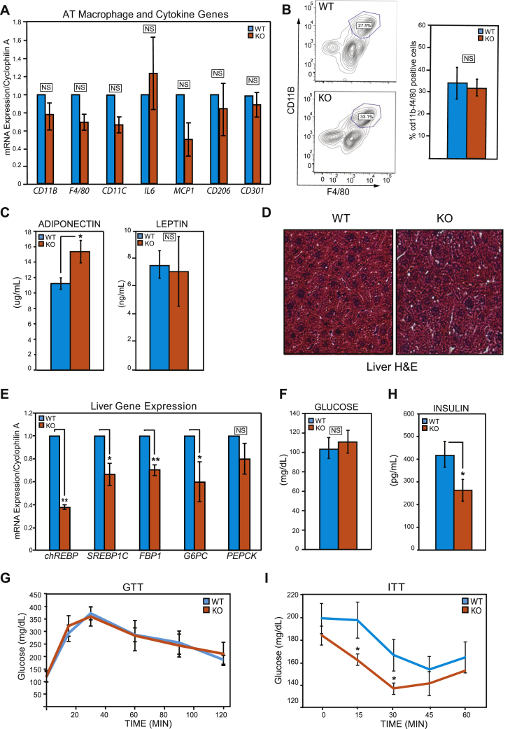 Figure 5
