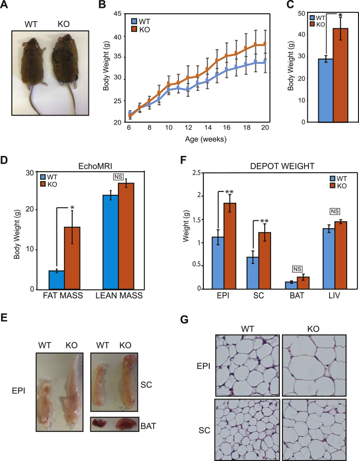 Figure 3