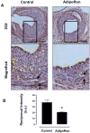 Fig. 11
