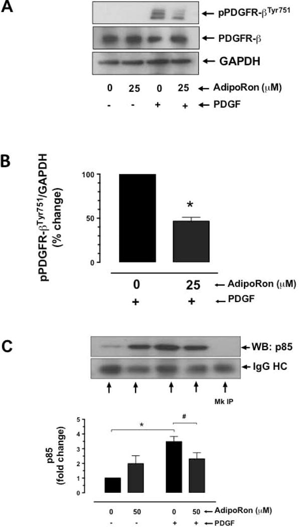 Fig. 10